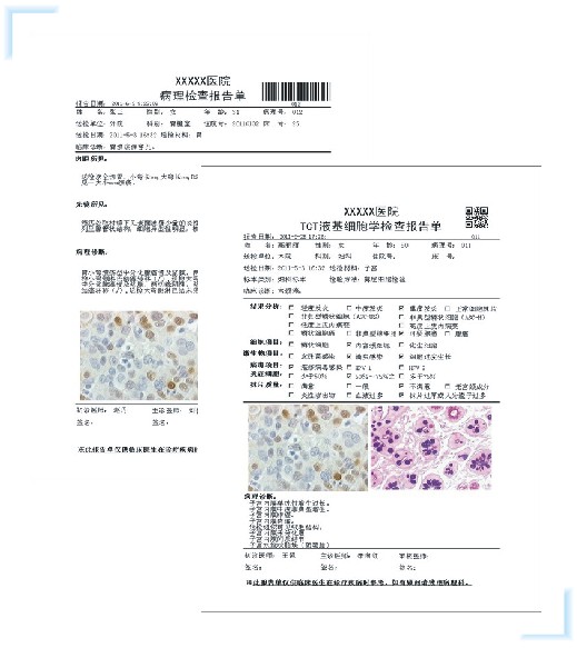 1693462871385691.jpg 病理信息管理系統(tǒng)